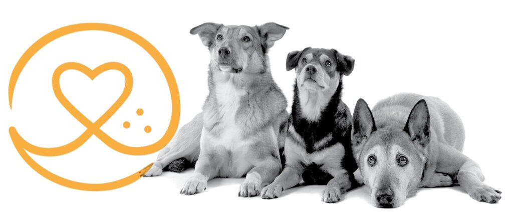A group of dogs with the NAPHIA logo