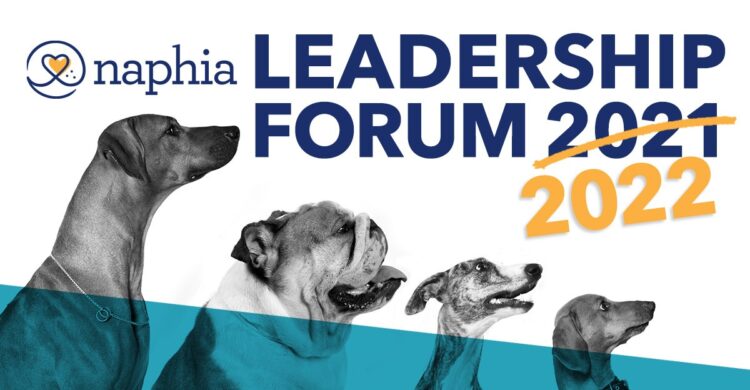 Photo of dogs looking at text - Leadership Forum 2022