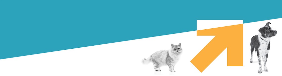 Pet Penetration Rates