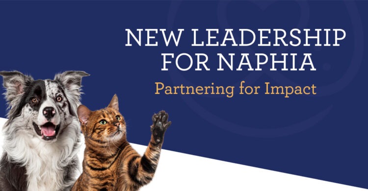 NAPHIA Engages MSP-AMC as New Association Management Partner