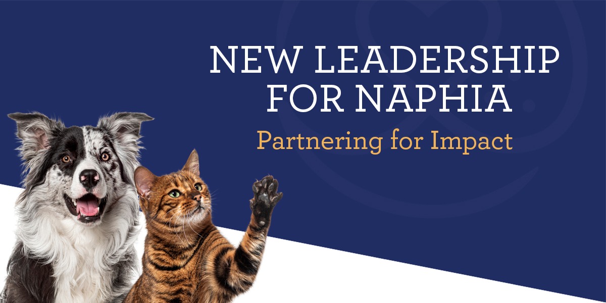 NAPHIA Engages MSP-AMC as New Association Management Partner